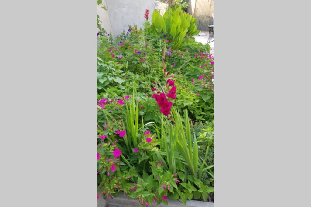Apartman Buki **** Split Exterior photo